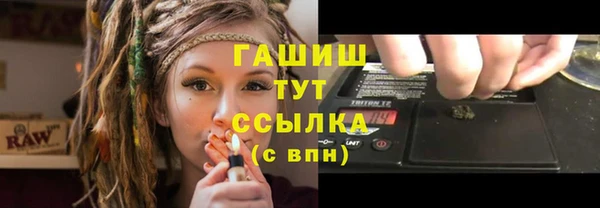 шишки Бикин
