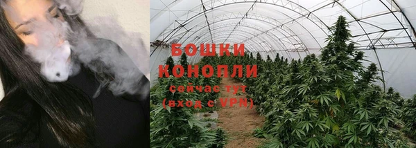мяу мяу мука Новодвинск