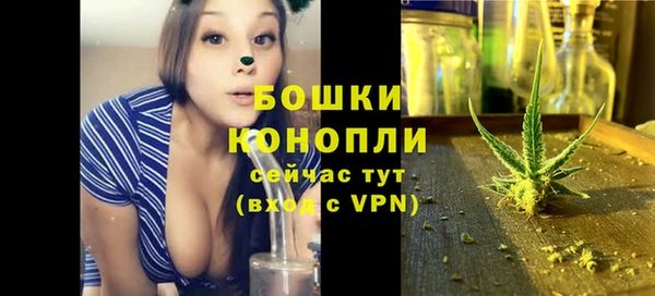 хмурый Нея