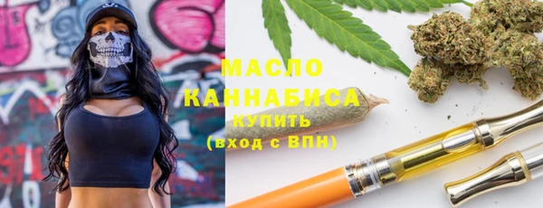 стаф Бородино