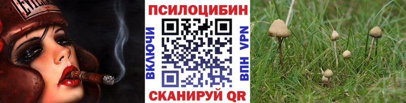 Галлюциногенные грибы прущие грибы Рыльск