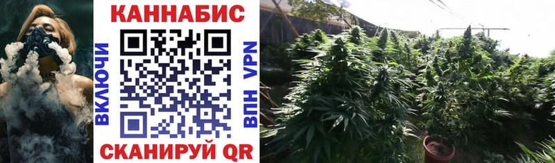 Каннабис OG Kush  купить закладку  Рыльск 